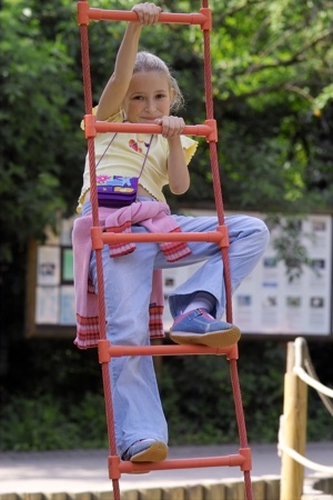 Girl Climbing Rope Ladder